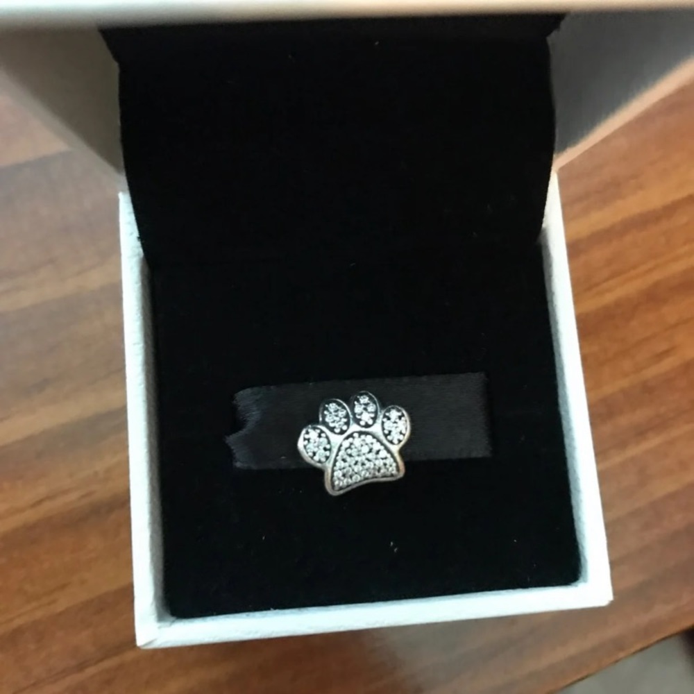 Pandora charm